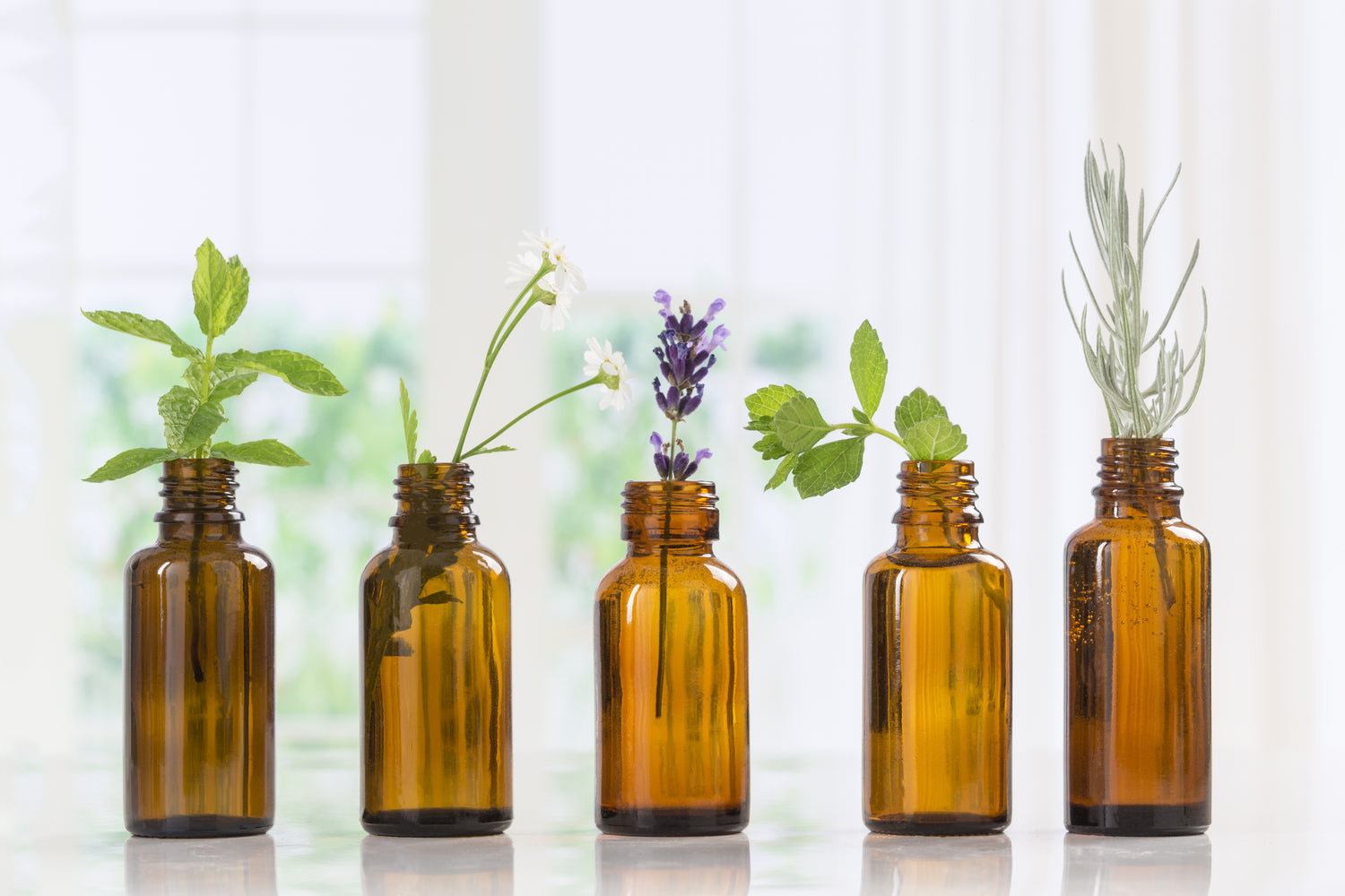 Five essential oil jars are lined up in a row on a white surface. The jars contain a variety of botanicals, including mint, lavender, and rosemary. Essential oils to make you feel good, improve health, and get you in the mood.