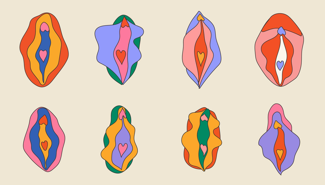 Guide to an Optimal Vulva