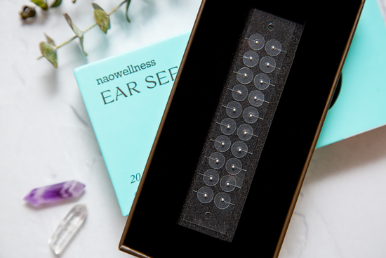 Stainless Steel  20 PC Ear Seed Kit