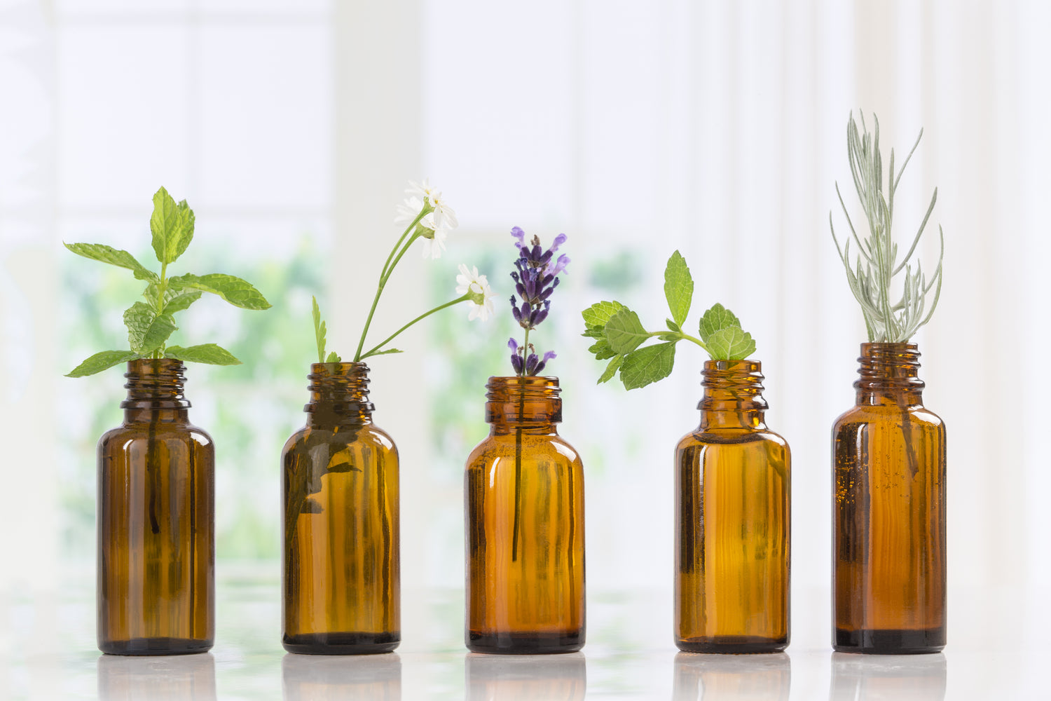 Five essential oil jars are lined up in a row on a white surface. The jars contain a variety of botanicals, including mint, lavender, and rosemary. Essential oils to make you feel good, improve health, and get you in the mood. 