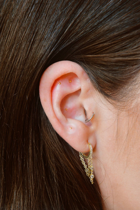 24K Gold 20 PC Ear Seed Kit